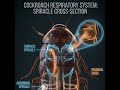How Cockroaches Survive Without a Head
