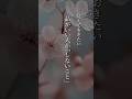 品がいい人が「しないこと」#shorts #名言 #言霊 #引き寄せ #人生