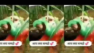 Tapa tap tapa tap Funny video || Tapa tap Video  || 😀😀😀😁😁😁🤗😅😅😅😅