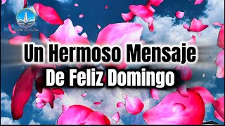 A beautiful Happy Sunday message. Blessings to you and your family.