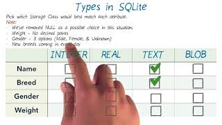 18   Types in SQLite Solution
