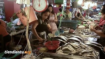 Thuyết minh Video giới thiệu Bitcoin là gì của Blockchain.info