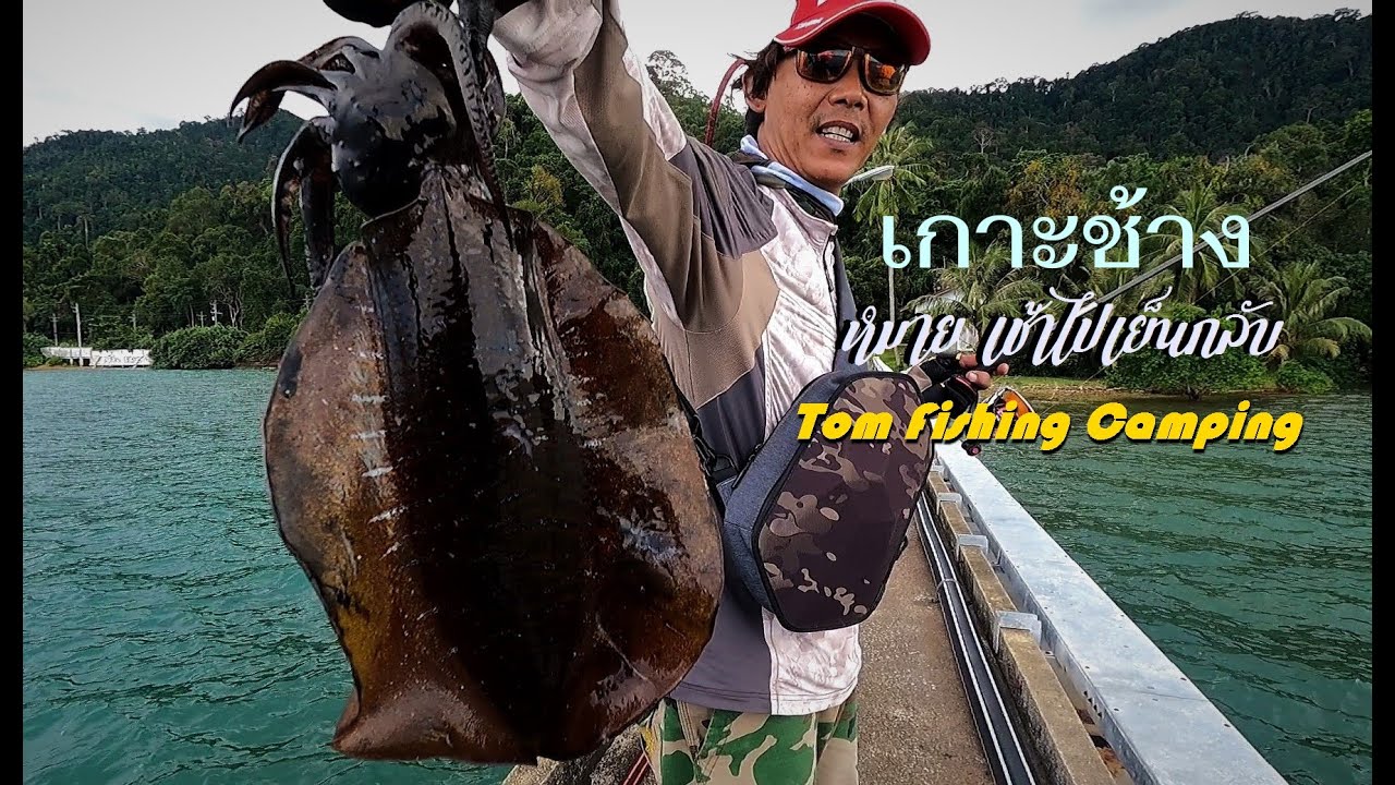 หมายเกาะช้าง One Day Trip