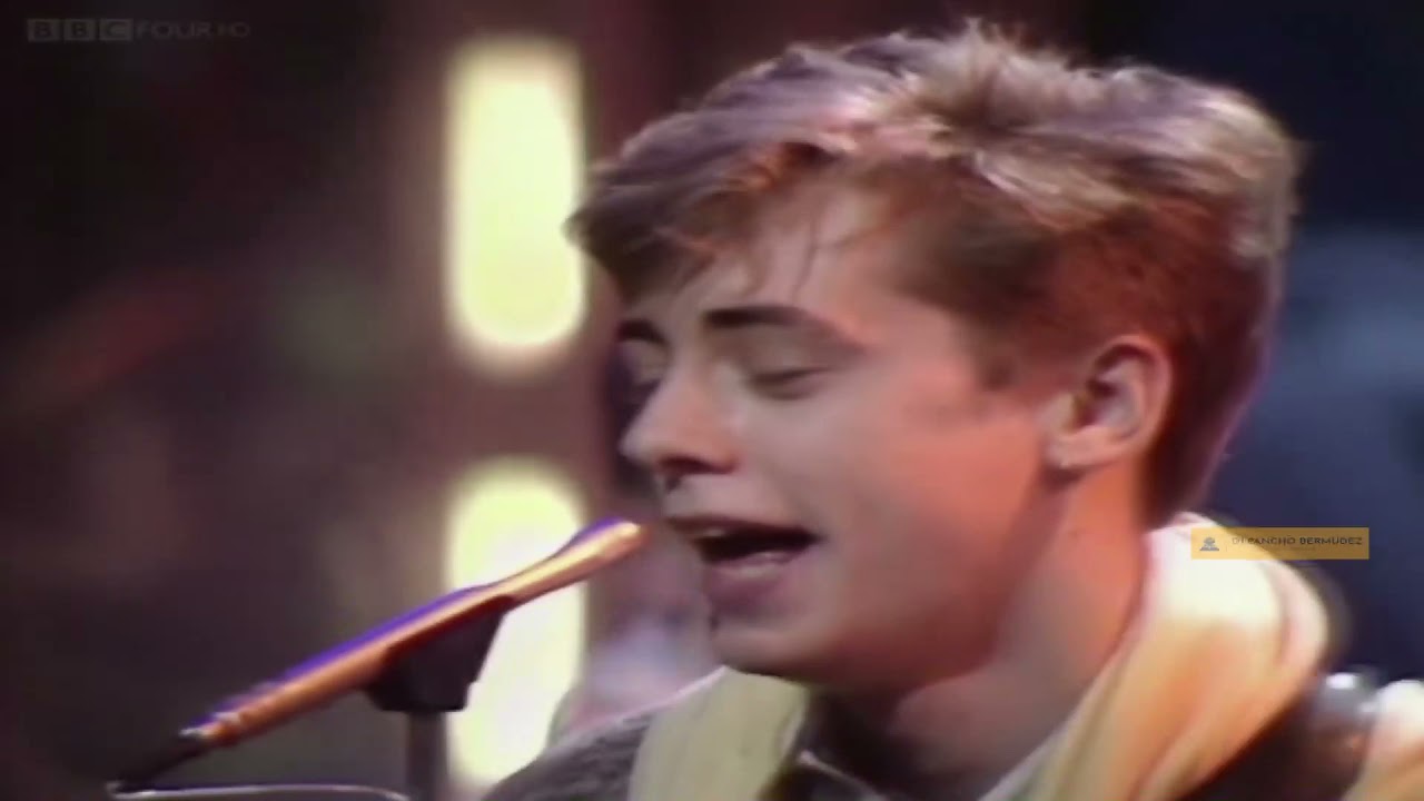 Haircut 100 Favourite Shirts (Boy Meets Girl) YouTube