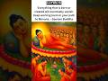 Subscribe for divine Buddha blessings ✨ #buddha #buddhaquotes #gautambuddha #shorts