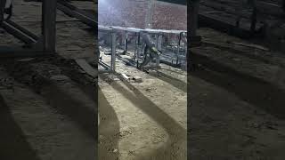 short viral video Full support mobile number call me back cover SK