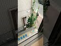 やったら車をバッカンバツカンならす迷惑な隣人❌