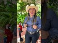 La enamorada- ILCE MARTÍNEZ #criollo #musica #llaneras #llano