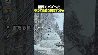 世界でバズった!冬の印象的な瞬間TOP6