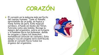 Sobre humano circulatorio power point sistema