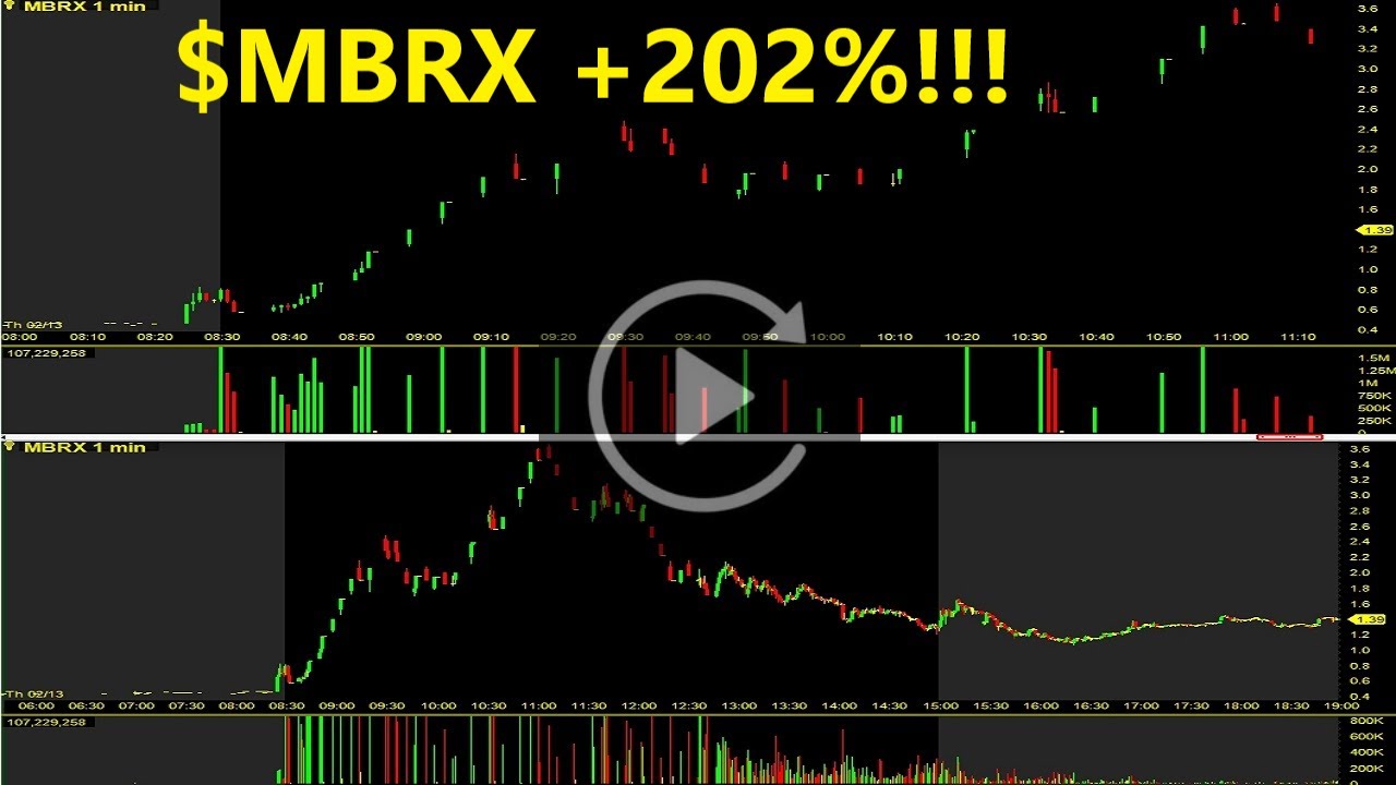 MBRX Stock Replay +202% Moleculin Biotech Inc Stock Review - YouTube