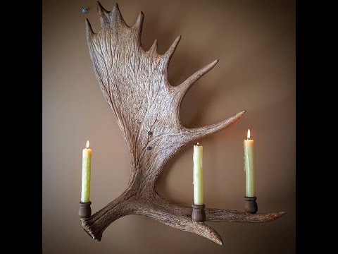 Como restaurar Antlers Moose com Coffee- Do It Yourself
