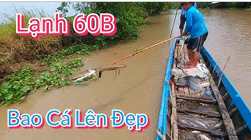 Thử Xiệt Lạnh 60B Không Ngờ Vợt Cá Da Trơn Không Kịp tháng 3, 2023