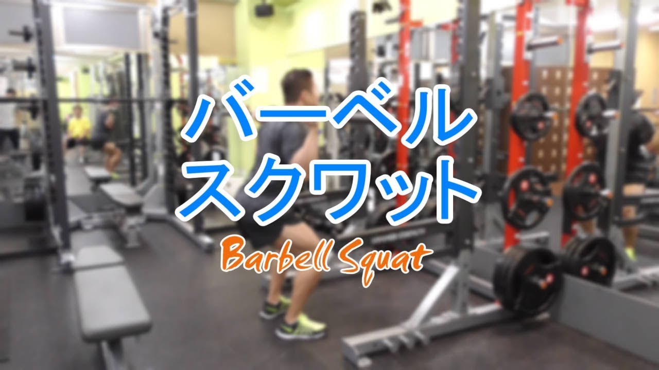 バーベルスクワット パラレル のやり方と基本フォームを動画で解説 東京筋トレ