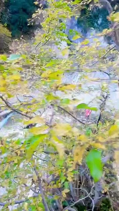 Мархяул Абхазия