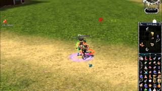 Metin2 Tsuyoshi PvP Duelle