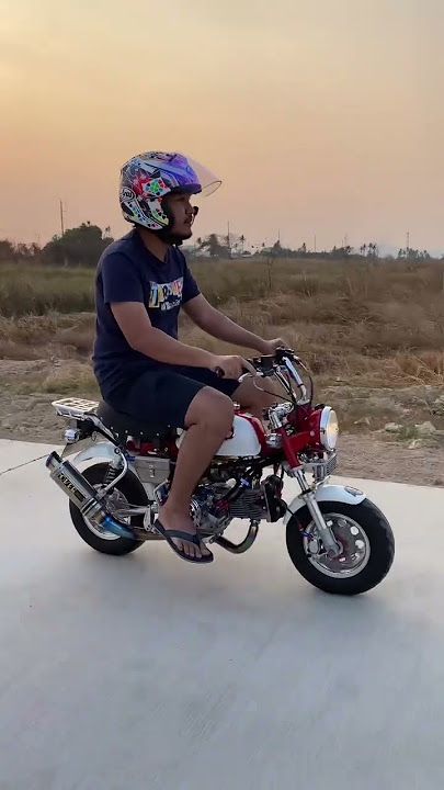 4V monkey bike thailand #honda #monkey #moto #bikelife #ctto  #shorts