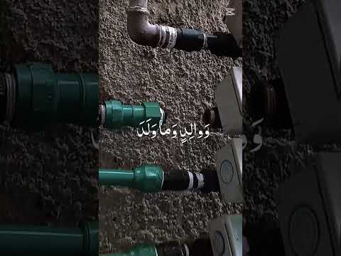 صوت فيه خشوع رهيب يريح القلب 