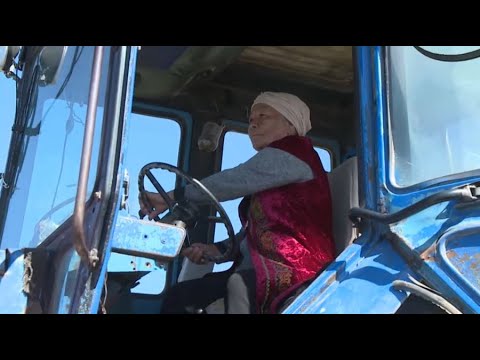 Волгодонскідегі жақын кездесулер Королева мен Торзан жыныстық қатынасқа түседі