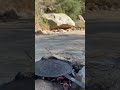 البال رايق