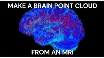 Make a Brain Point Cloud from an MRI