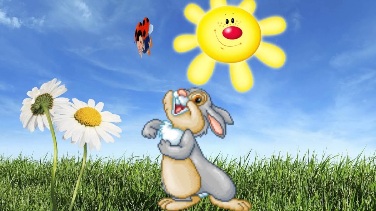 Футаж Веселый зайка пляшет на лужайке - YouTube