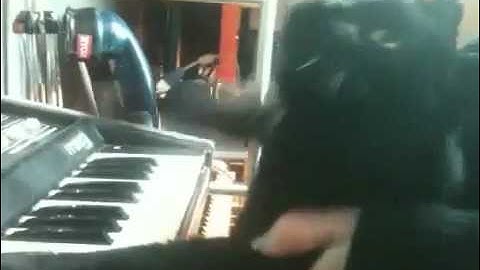 Octave Cat muddle on a Multimoog Analog Synthesizer