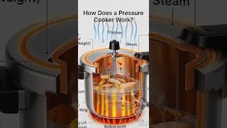How Does a Pressure Cooker Work? | Simple 30-Second Explanation 🍲