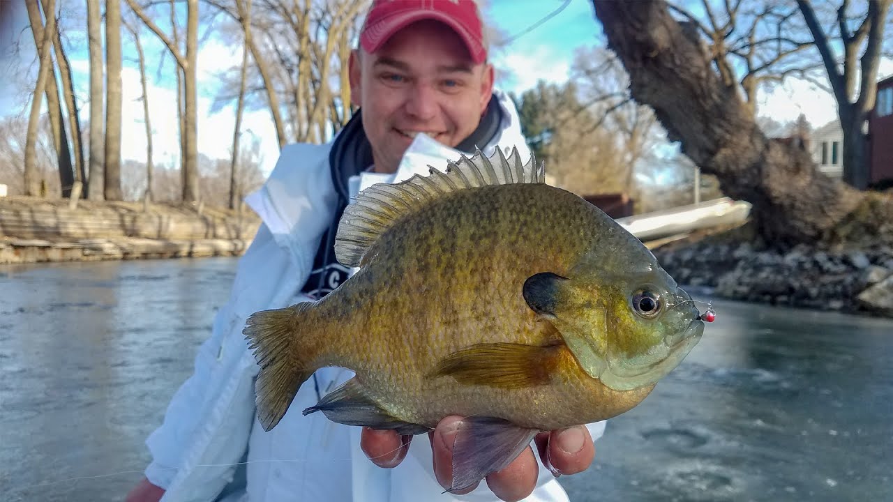 Wisconsin Shallow Water Panfish - In-Depth Outdoors Season 13