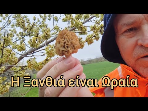 Κόλπα για να