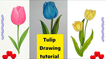 How to draw a tulip flower drawing step by step | easy tutorial for beginners#art #trending