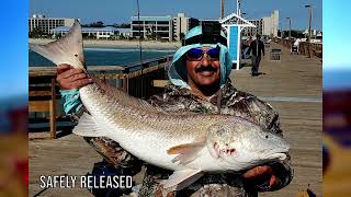 You won't believe what we caught at Springmaid Pier (Myrtle Beach Fishing)