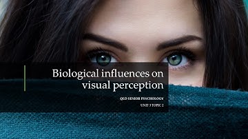 Biological Influences On Visual Perception