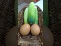 Tumis Timun Telur Masakan SImple #Shorts  #Food #Makanan #Simple #Chef