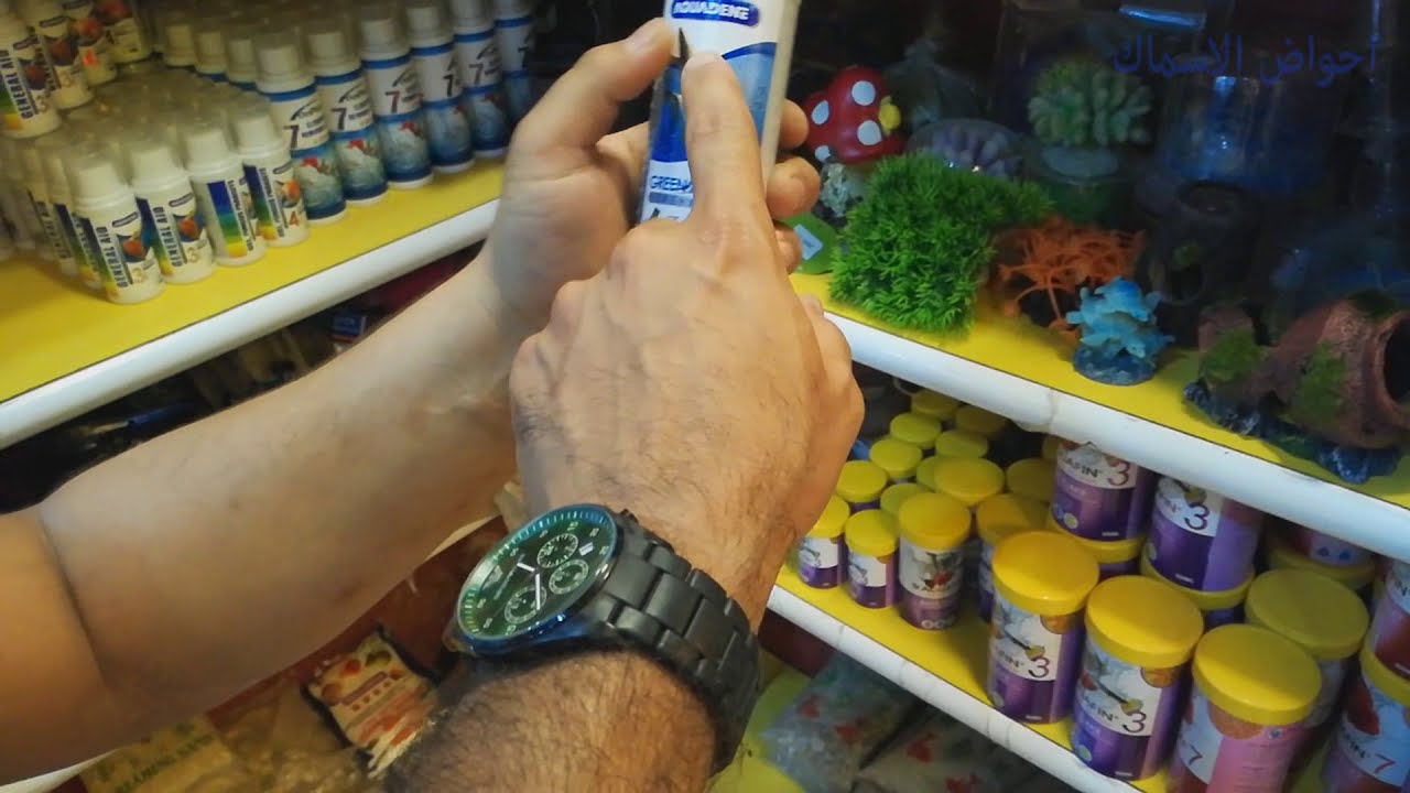 جولة في المعرض العراقي للاحياء المائيه في سوق الغزل