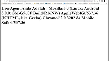 merubah user agent curl php