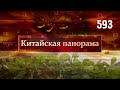 Цветы озёрного шиповника,  лепёшки из раскрашенного теста - (593)