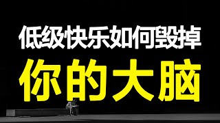 低级快乐如何夺走你的专注力&思考力？亲测4个方法，打造大神级深度思考力&超强专注力！【心河摆渡】