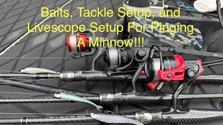 My Complete Guide To Pinging A Minnow: Baits, Tackle, Livescope Settings