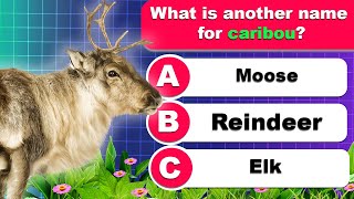 How Many of These 30 General Knowledge Questions Can You Get Right? 🧠💡