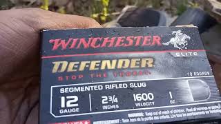 Winchester PDX Defender Segmented Slug vs Frozen Chicken