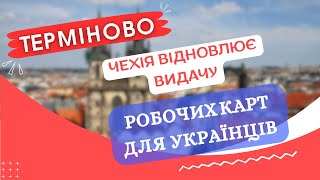 ТЕРМІНОВО! Чехія відновлює видачу робочих карт для українців! (до кінця)