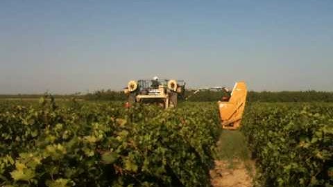 Spectrum Grape Harvester 3
