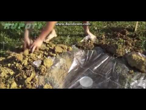 როგორ მოვიპოვოთ დასალევი წყალი მიწიდან - თვითგადარჩენა ჯარში