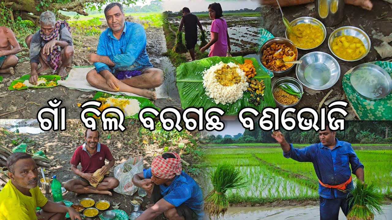ଗାଁ ବିଲ ବରଗଛ ବଣଭୋଜି 😋 l Gouranga Nayak Odia Vlogs 