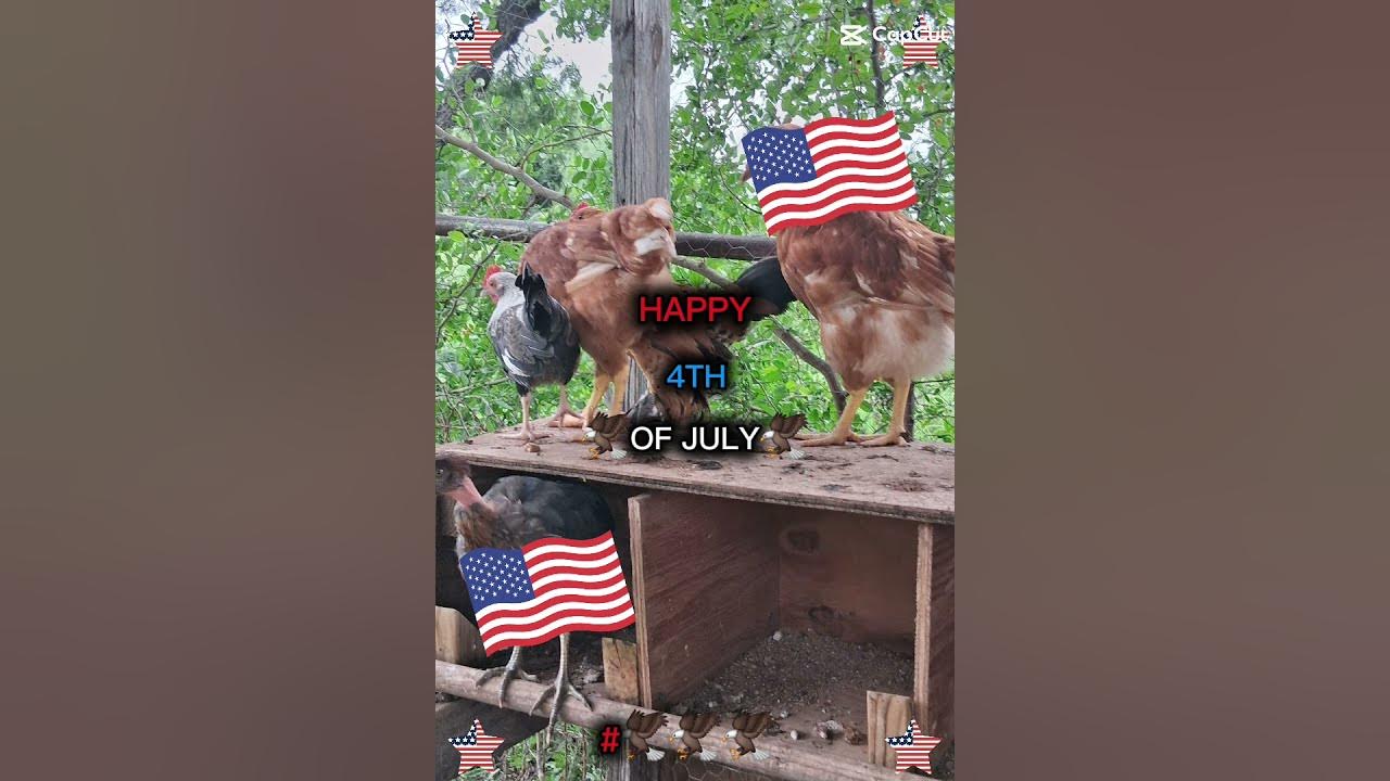 what is the 4th of july in america