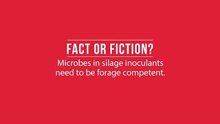 Fact or Fiction: Microbes in silage inoculants need to be forage competent