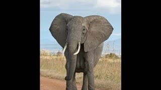 Lil Code Making Moves