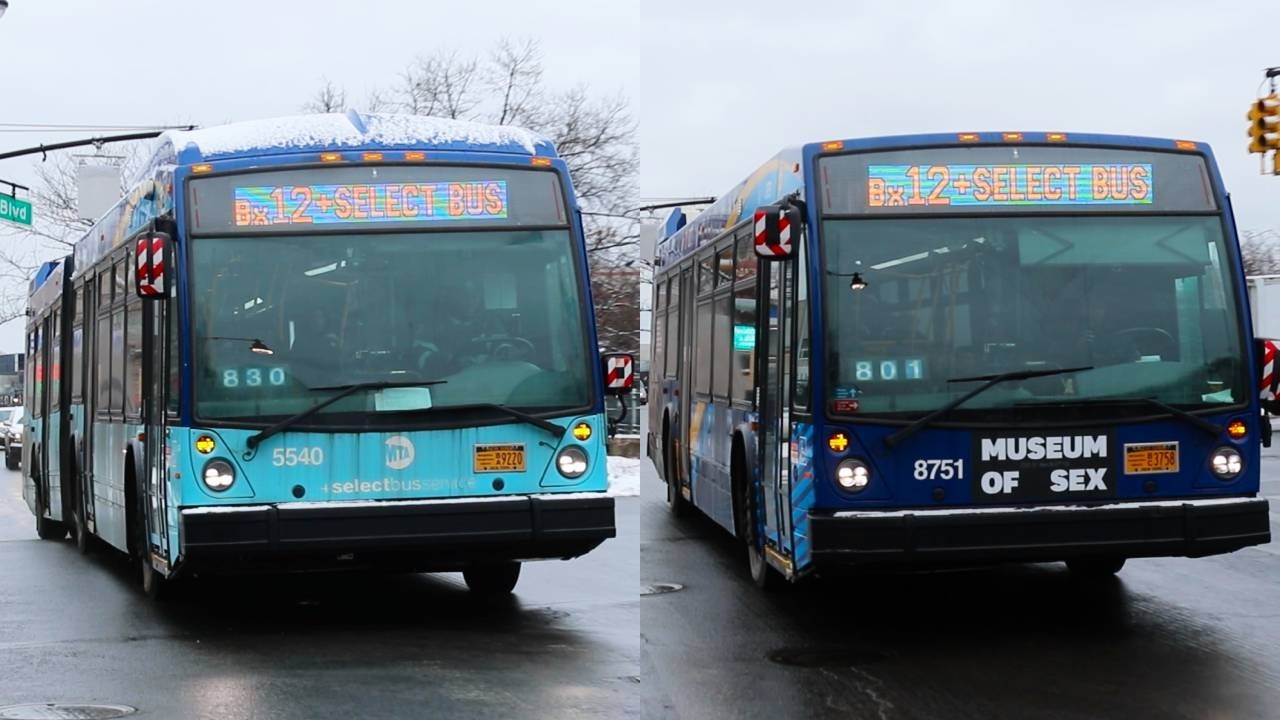 NYCT Bus: 2019 Novabus LFS & LFSA Action on the Bx12 / SBS & Bx22 at Fordham Road and Southern Blvd