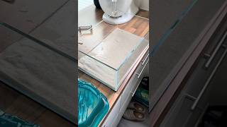 😱😭🙈 #sumikohh #triops #smallpets #urzeitkrebse #aquarium #krebse